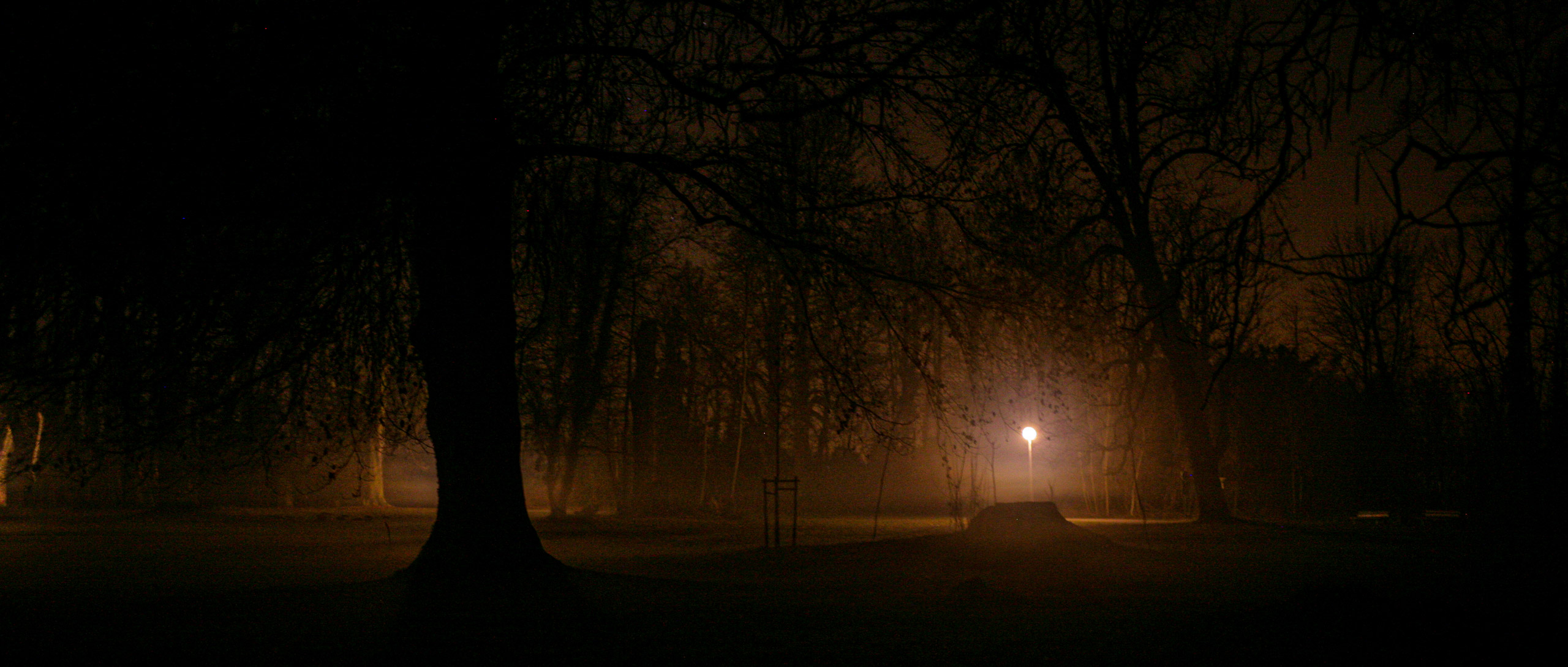 20080223232405 IMG 2719